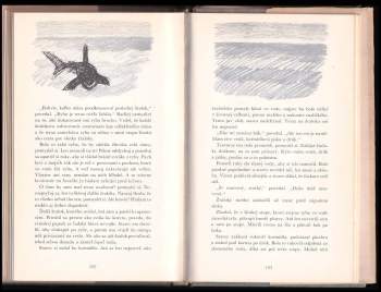 Ernest Hemingway: Starec a more