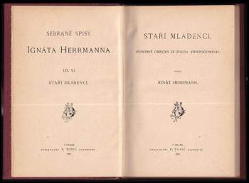 Ignát Herrmann: Staří mládenci