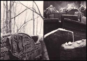 Vladimir Šadek: Starý židovský hřbitov v Praze (soubor  12 fotografií)
