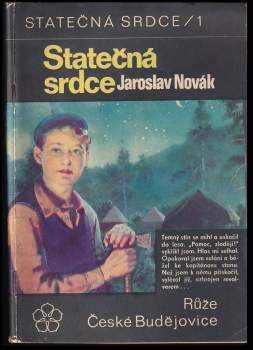 Statečná srdce - dva měsíce života v lesním táboře