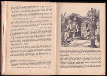 Walter Henkels: 38 mužů dobývá Vichy