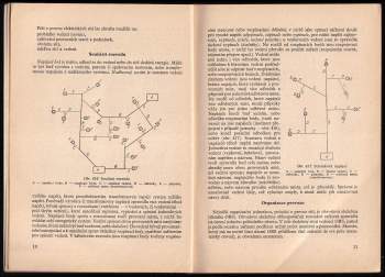 Václav Honys: Stavba a provoz sítí