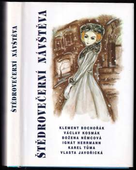 Štědrovečerní návštěva