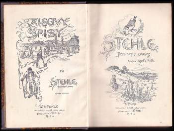 Karel Václav Rais: Stehle