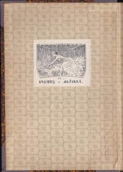 Karel Václav Rais: Stehle