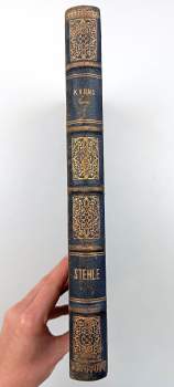Karel Václav Rais: Stehle