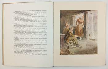 Karel Václav Rais: Stehle