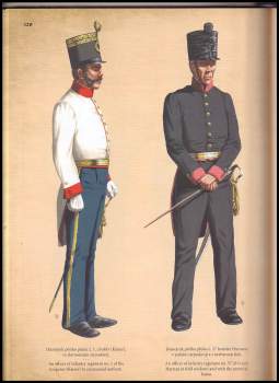 Gustav Bezděkovský: Stejnokroje vojáků sloužících v habsburské armádě 1618-1918