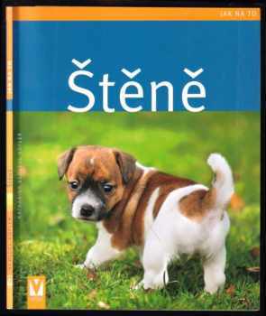 Štěně