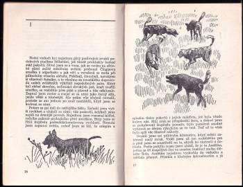 Hugo van Lawick: Štěně Solo