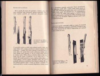 Otakar Bílek: Štěpování