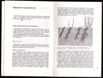 Otakar Bílek: Štěpování