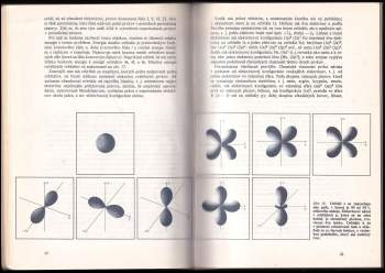 Giulio Natta: Stereochémia organických zlúčenín