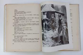 František H Šubert: Stezka odvahy