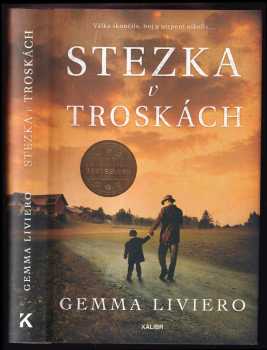 Gemma Liviero: Stezka v troskách