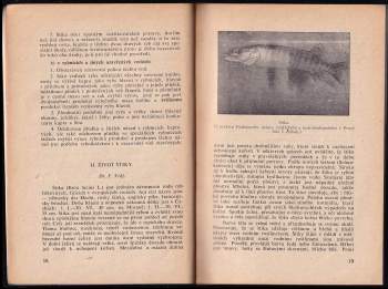 Jaroslav Tejčka: Štika, její chov a lov