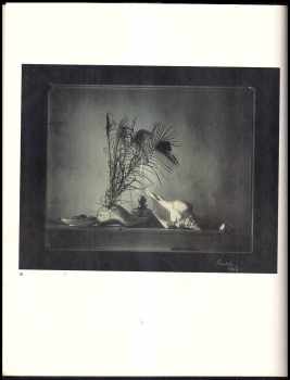Josef Sudek: Still lifes