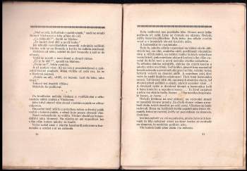 Alois Žipek: Stín domova