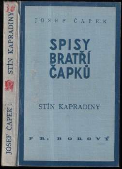 Stín kapradiny