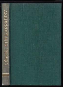 Stín kapradiny