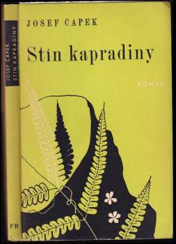 Stín kapradiny