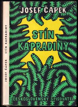 Stín kapradiny