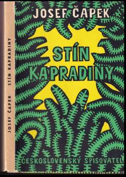 Stín kapradiny