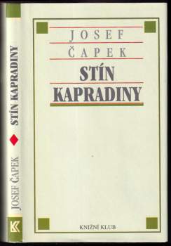 Stín kapradiny