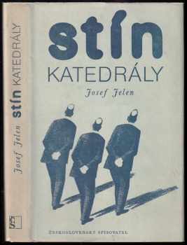 Stín katedrály