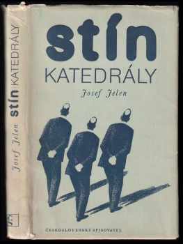Stín katedrály