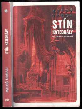 Stín katedrály