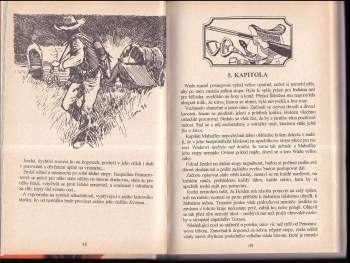 Zane Grey: Stín na cestě