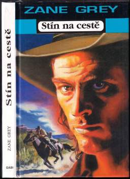 Stín na cestě