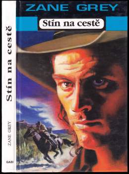Stín na cestě