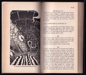 Joe Dever: Stín na písku