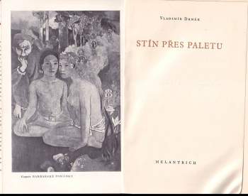 Vladimír Drnák: Stín přes paletu