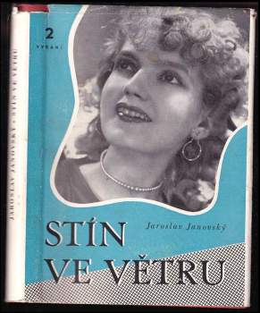 Stín ve větru