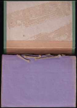 Jaroslav Foglar: Stínadla se bouří!