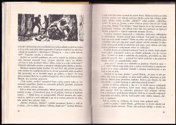 Jaroslav Foglar: Stínadla se bouří