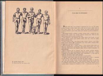 Jaroslav Foglar: Stínadla se bouří