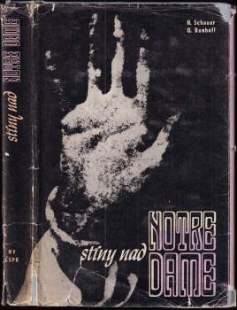 Stíny nad Notre Dame