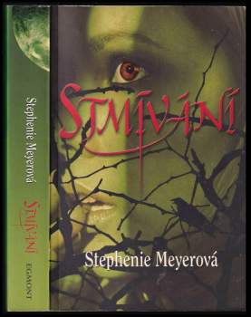Stmívání