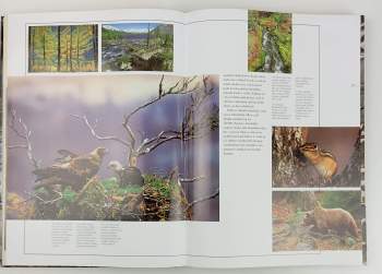 Jasmina Trifoni: Sto největších divů přírody