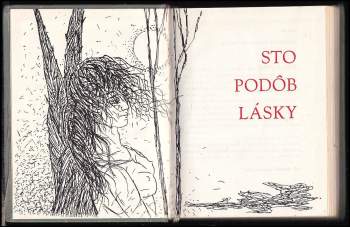Jozef Šturdík: Sto podob lásky