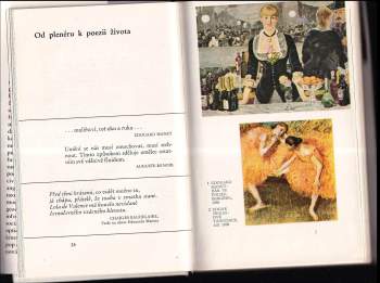 Luděk Novák: Století moderního malířství