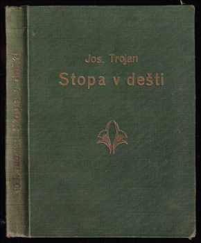 Stopa v dešti