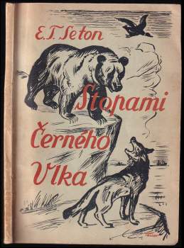 Stopami černého vlka