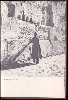 Miloš Bič: Stopami dávných věků