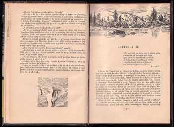 James Fenimore Cooper: Stopař
