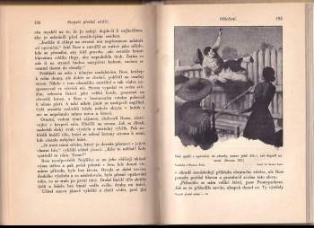 Joseph A Altsheler: Stopaři přední stráže